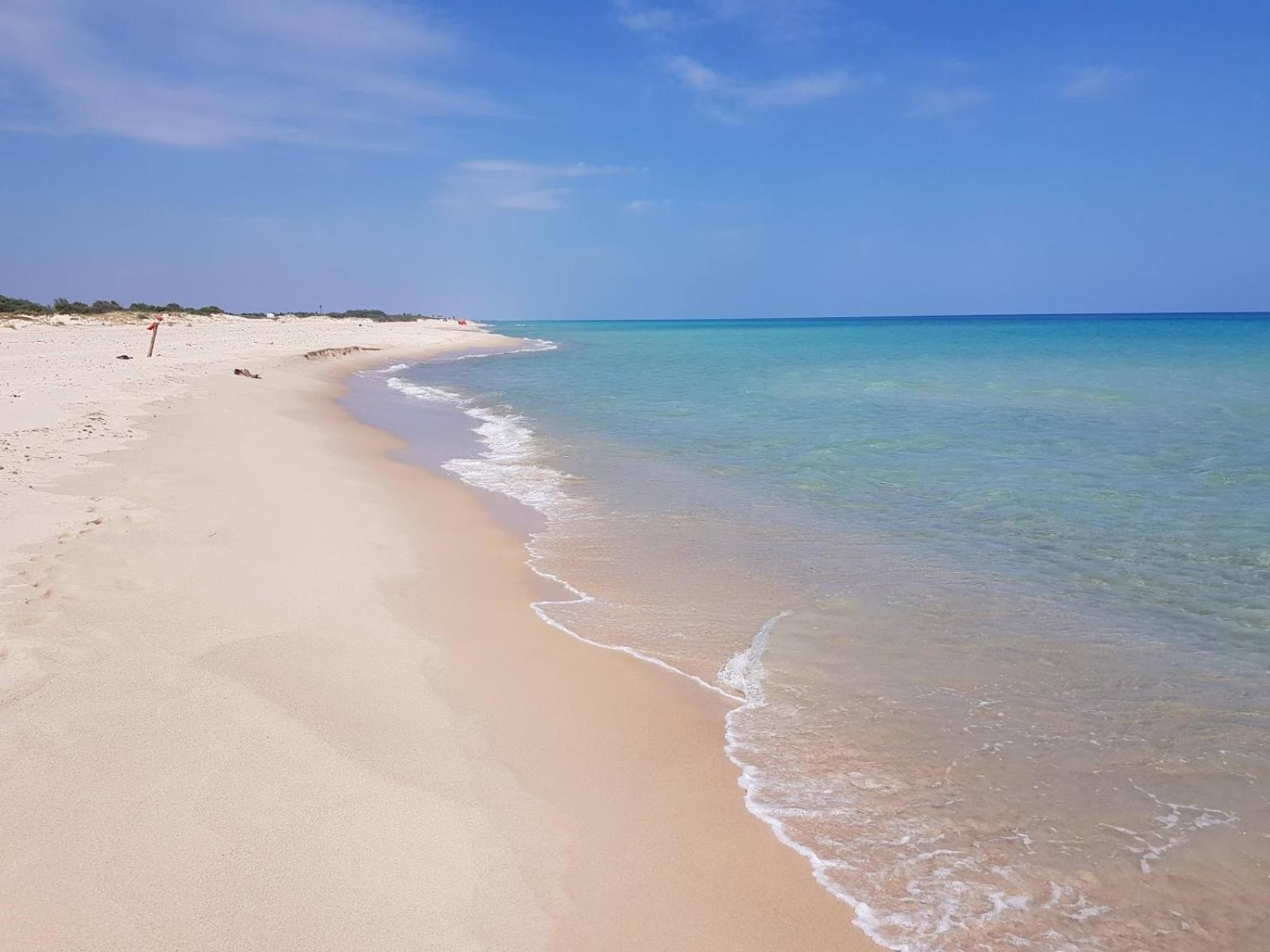 Dar Louzir A Tazarka Villa Kültér fotó